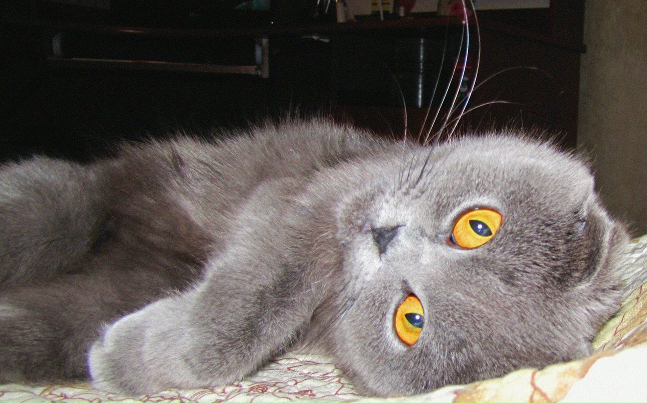 Людмила Симонцева | Кривой Рог