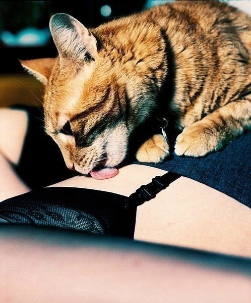 Денис Воробей Denya | Киев