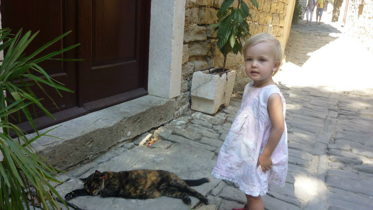 Юрий Юша | Ростов-на-Дону