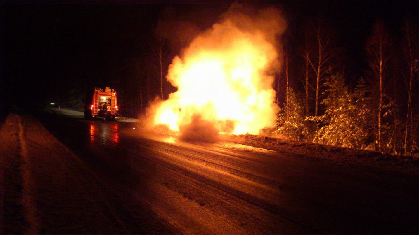 Maksim Levada | Таллин