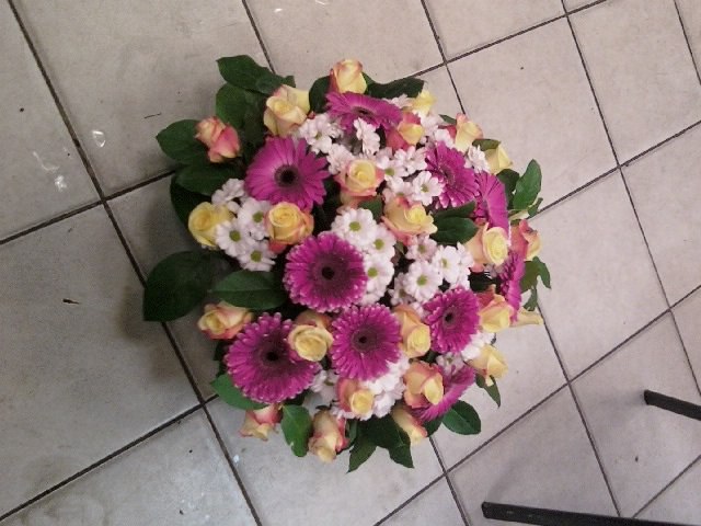 Полина Козлова | Санкт-Петербург