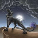 Фотография Dark Wolfe