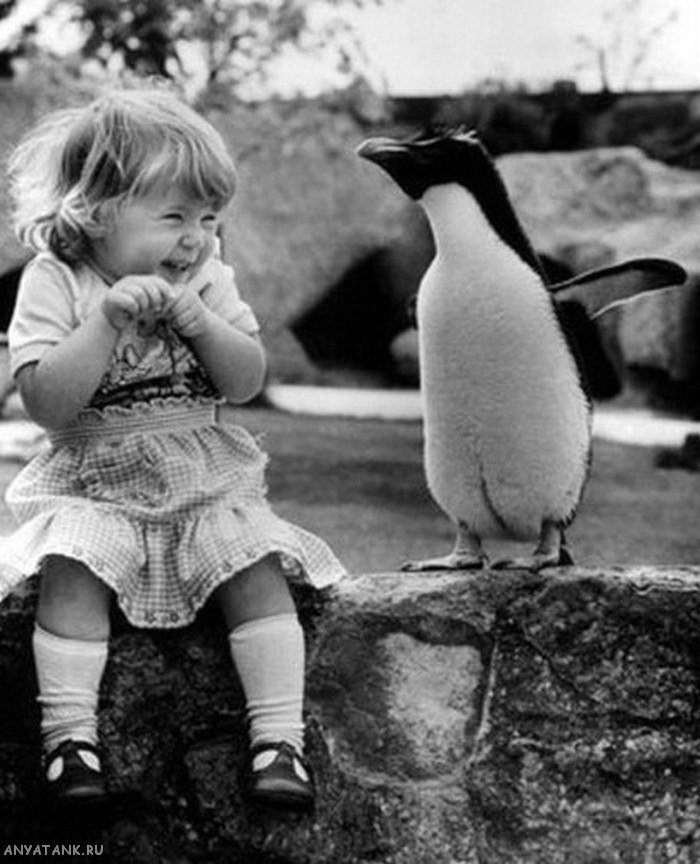 Алёна Механошина | 