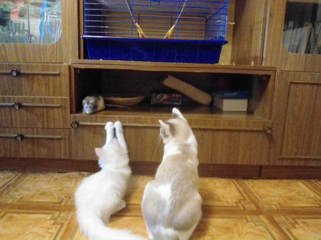 Ксения Марфина | Самара