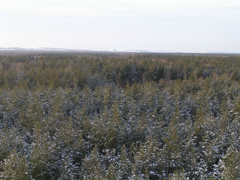 Алексей Друзин | Алатырь