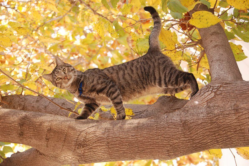 Василий Шакун | Молодечно