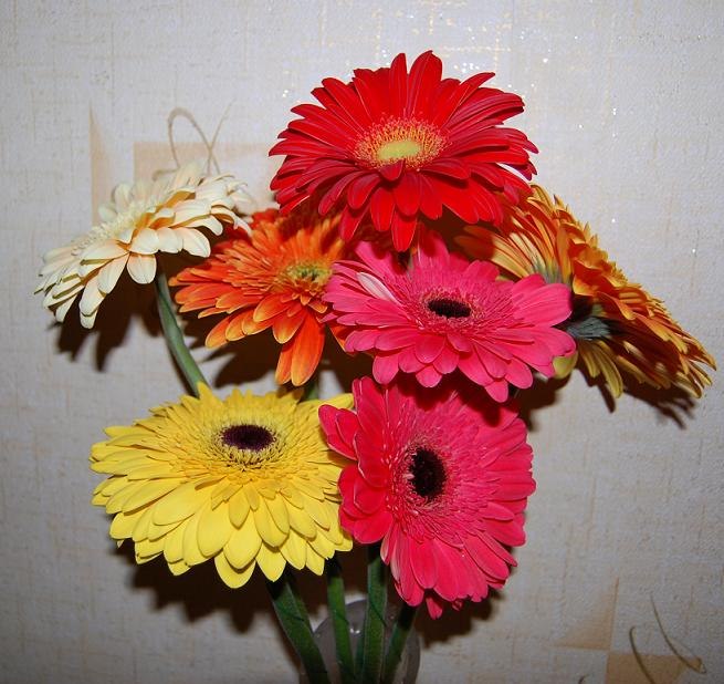 Ирина Близнюк | 