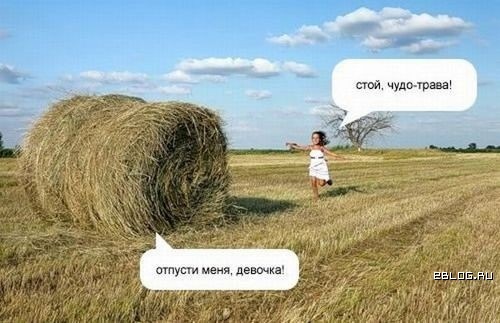 №16, Сева Белорусов №16, Сева Белорусов