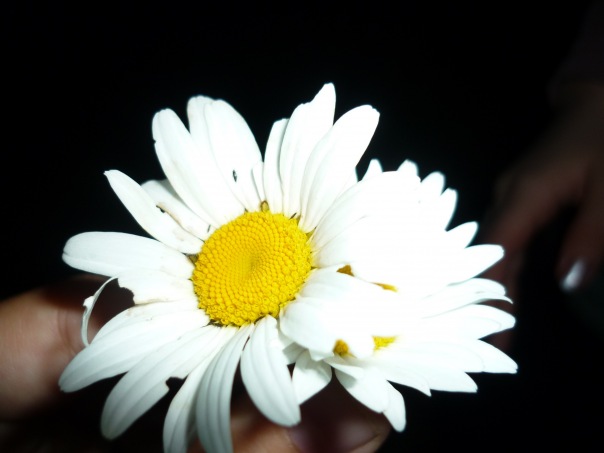 №30, Дарья Темгаева, 30 лет, Podgorica №30, Дарья Темгаева, 30 лет, Podgorica