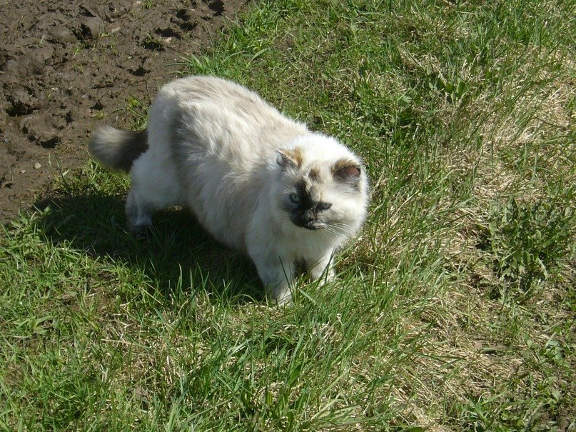 Наталья Викторова | Крестцы