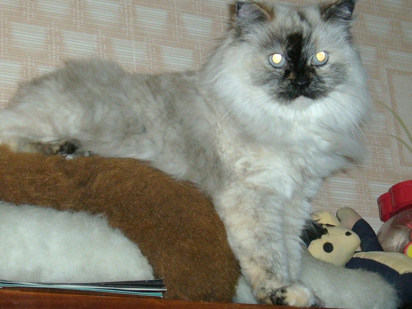 Наталья Викторова | Крестцы