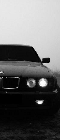 Игорь Дмитрич | Санкт-Петербург