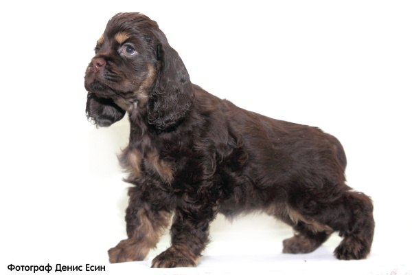 Юлиана Давыдова | Вологда