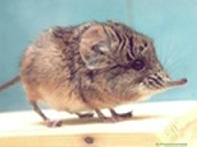 Надежда Билетеева | Ярославль