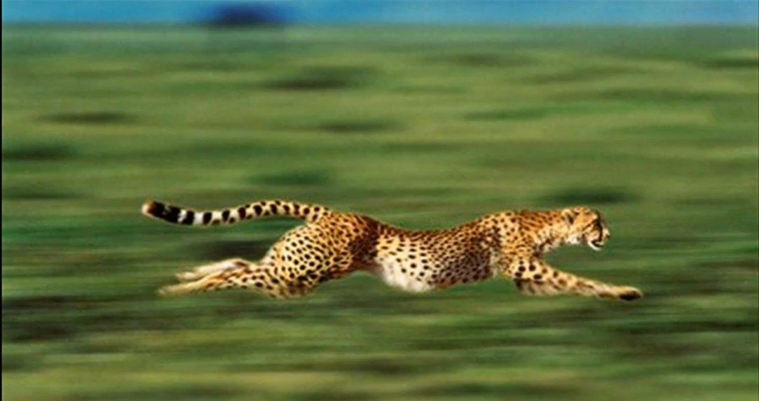 Jarby Stark ♌ | Санкт-Петербург