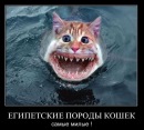 №1 Анна Ванькова