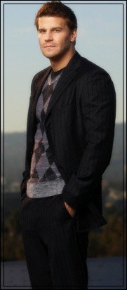 №10, David Boreanaz, 57 лет, Buffalo №10, David Boreanaz, 57 лет, Buffalo