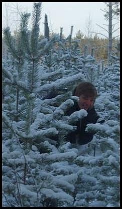 №5, Денис Перов №5, Денис Перов