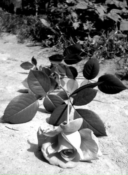 №36, Настя Мала, 30 лет, Львов №36, Настя Мала, 30 лет, Львов