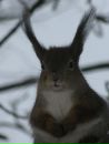 №40 Ирина Кокорева 05.01.1978: профиль, фото, статус - ВКонтакте