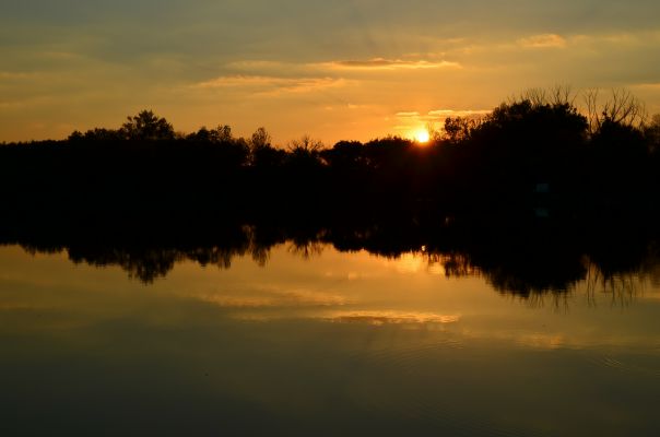 №195, Эдуард Некрасов, 55 лет, Стаханов №195, Эдуард Некрасов, 55 лет, Стаханов