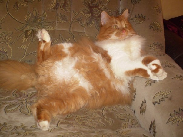 №123, Наталья Пилипенко, Киев №123, Наталья Пилипенко, Киев