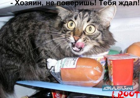 №19, Даня Паршутов №19, Даня Паршутов