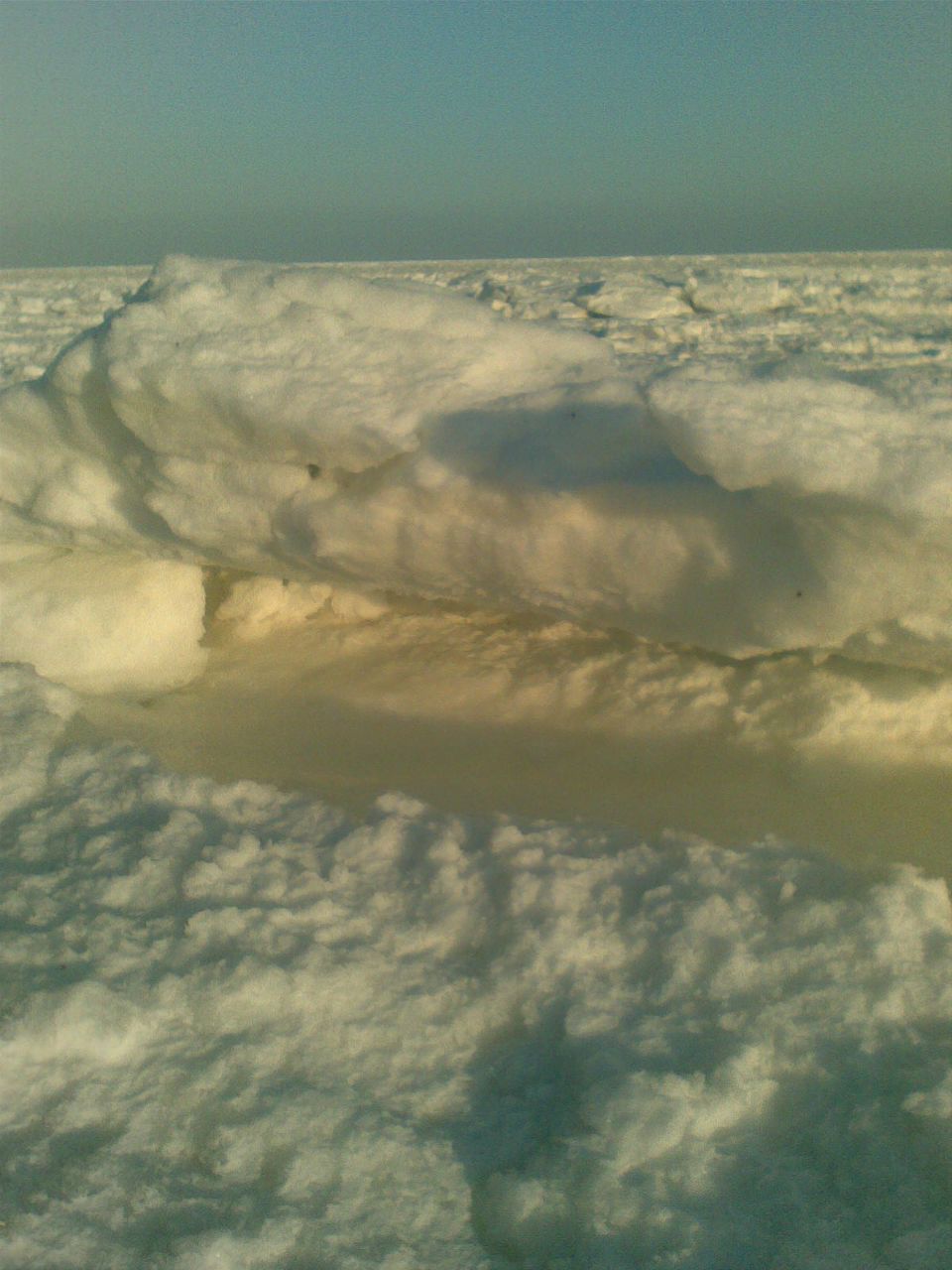 Евгений Рашковский | Одесса