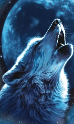 №1, Катрин Анисимова, Балашиха №1, Катрин Анисимова, Балашиха