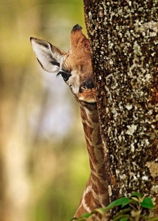 Серёга Шабло | Екатеринбург