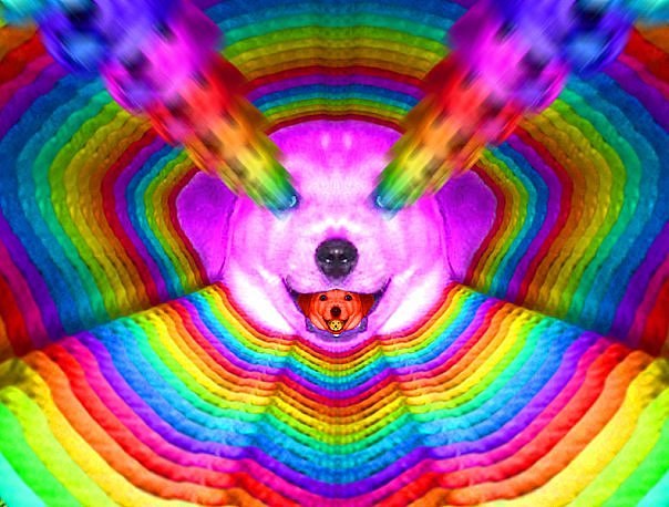 Никита Толбацкий | Евпатория