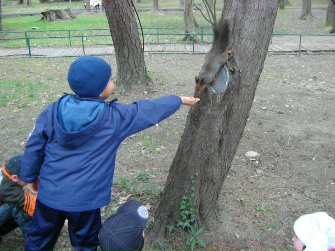 Анчаева Татьяна | Комсомольский