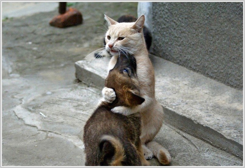 Евгения Чернышова | Санкт-Петербург