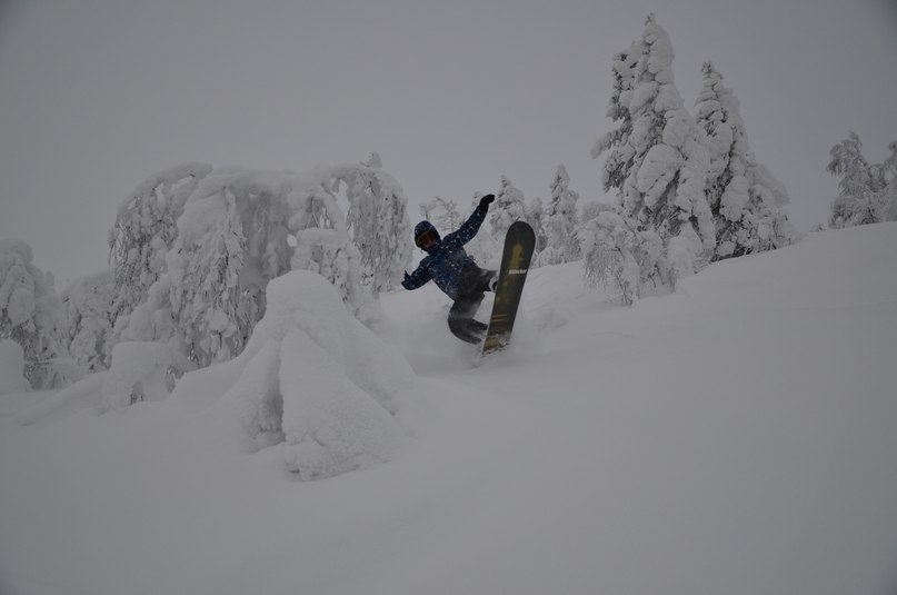 Александр Кольц | Санкт-Петербург