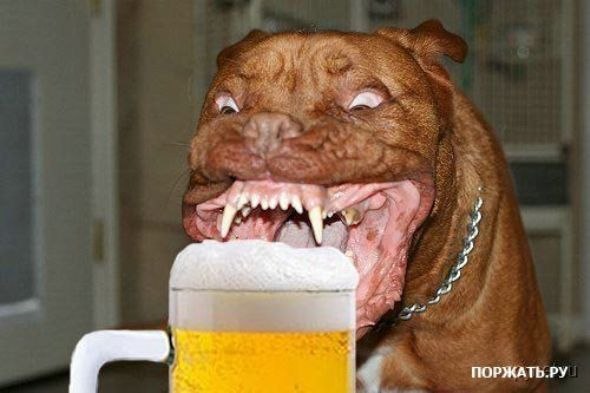 Владимир Иванов | 