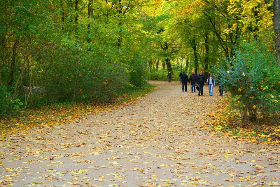 Viktor Yushyn | Таллин