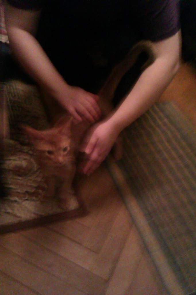 Михаил Ефимов | Москва