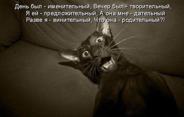 Игорь Лаврентьев | 