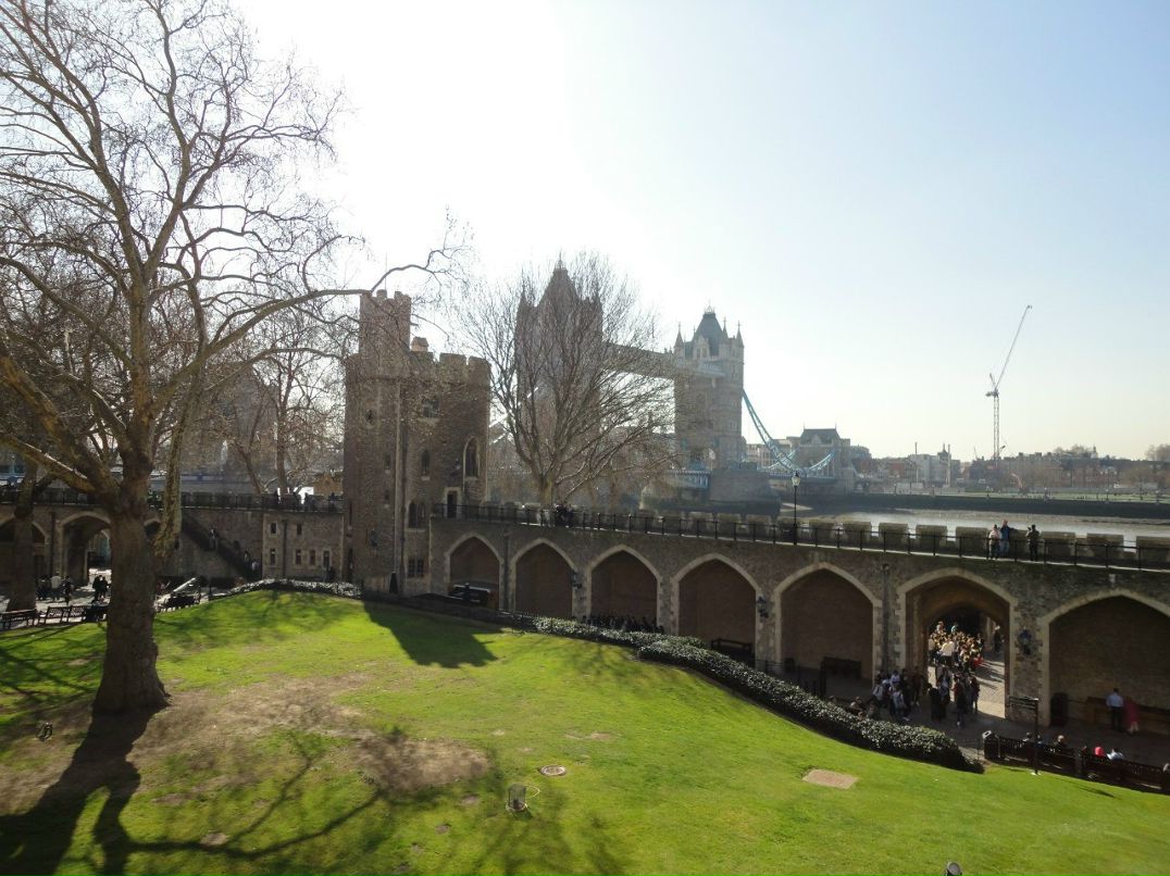 Анна Сватовская | Санкт-Петербург