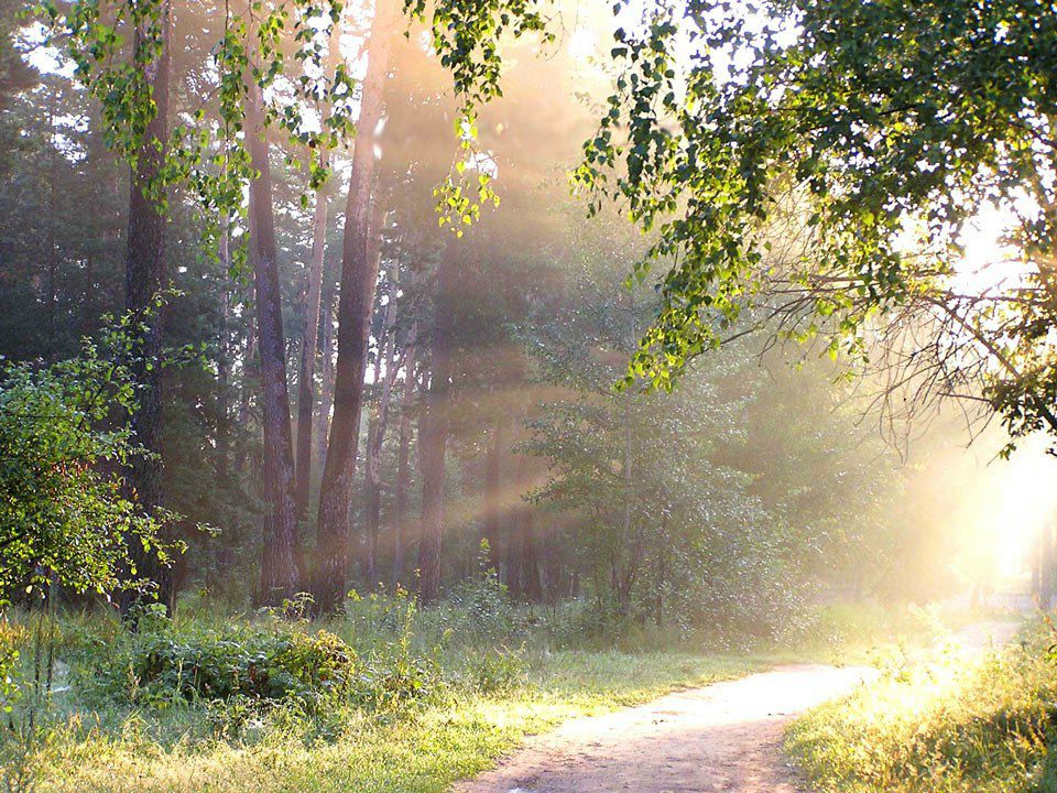 Фёкла Михайлова | Москва