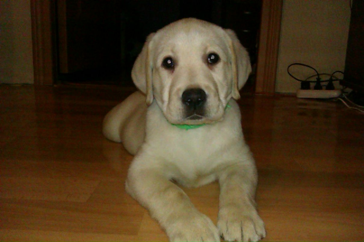 Кирилл Николаев ▼ | Москва