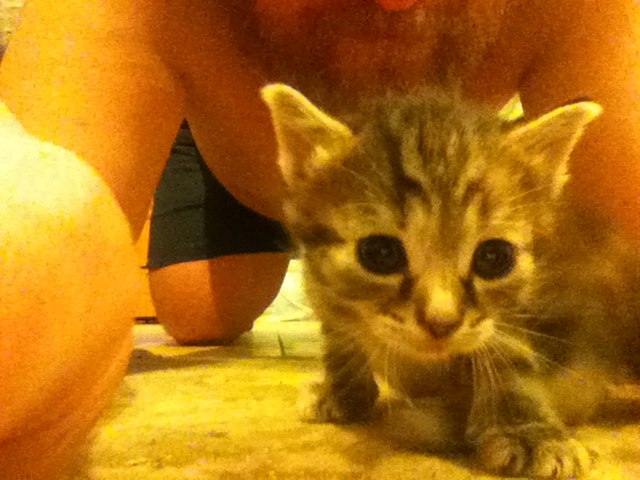 Сергей Леонов | Щекино (деревня)