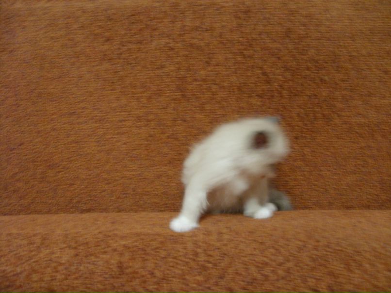 Виктория Еловикова | Екатеринбург