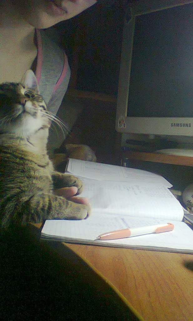 Миляуша Гумерова | Уфа