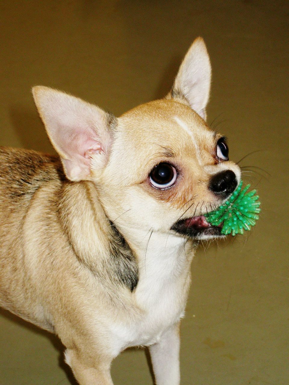 Ирина Чуслова | Санкт-Петербург