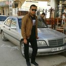 №28 Basset Hammi