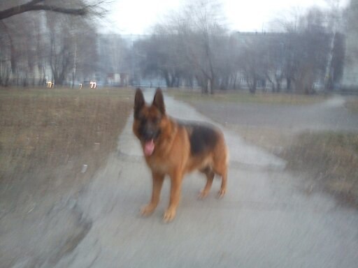 Алексей Кузьминых Валерьевич | Новосибирск