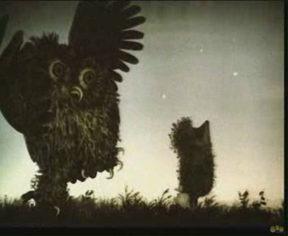 Станислав Калиниченко | Сумы