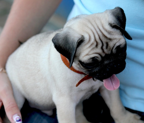 №71, Катеринка Пантелеева, 33 года, Волгоград №71, Катеринка Пантелеева, 33 года, Волгоград