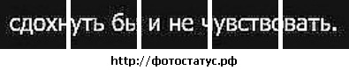 №37, Владислав Демченко, Севастополь №37, Владислав Демченко, Севастополь